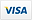 visa payment